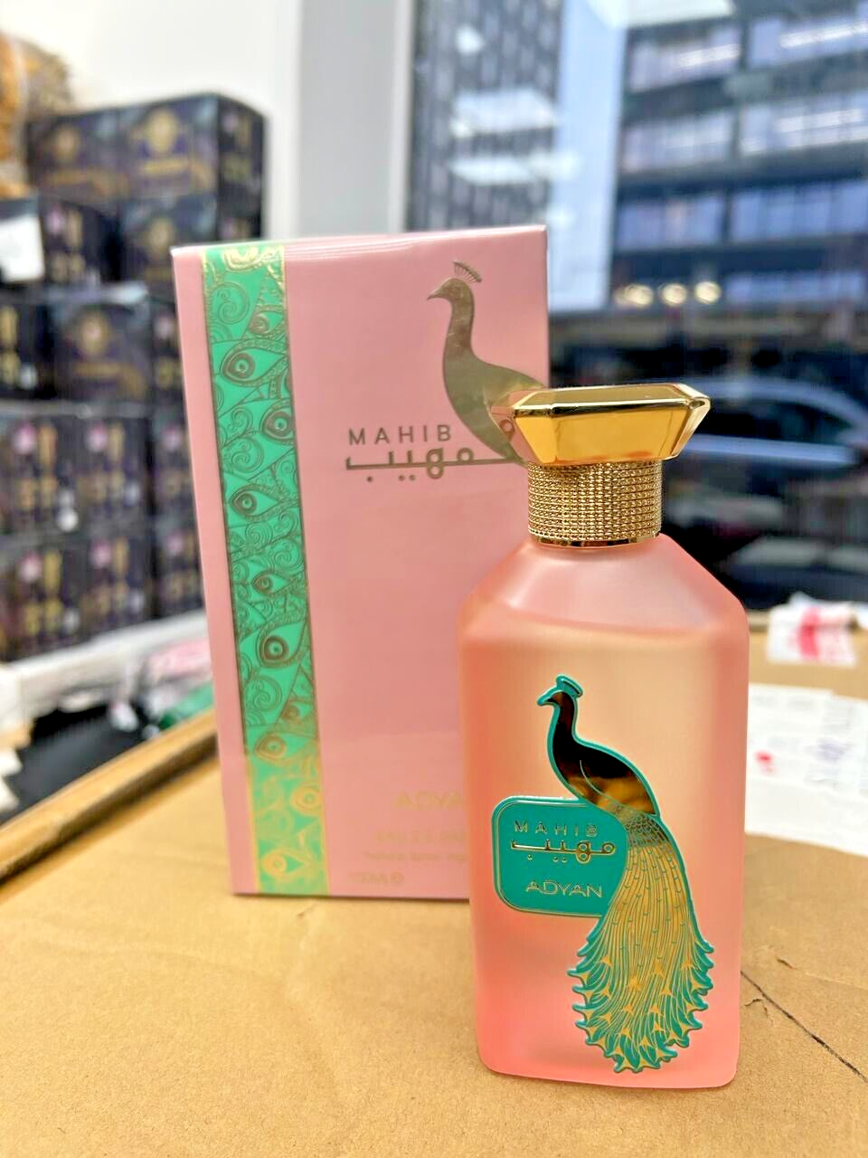 Adyan Mahib apresentação